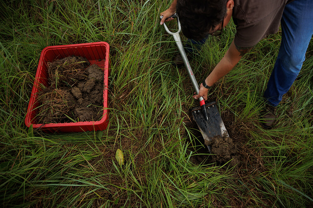nobleresinst's tweet photo. How to identify a disrupted #nutrientcycle:
1️⃣ Look at species diversity
2️⃣ Examine plant health
3️⃣ Determine interplant spacing
4️⃣ Look at the litter
5️⃣ See what's left behind
6️⃣ Dig deeper
Check out our recent #NobleRancher article to read more: https://t.co/aw61qSiYp5. https://t.co/AlwqF62O86