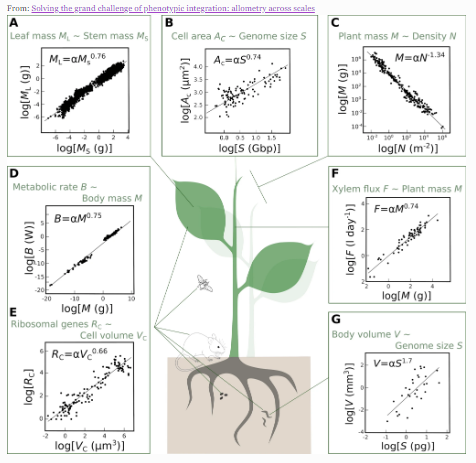 Genetics at BMC (@oagenetics) on Twitter photo In this wonderful Special Issue: The Relationship Between Genotype and Phenotype: New Insight into an Old Question - one of the most important questions in biology is addressed. Read it all with free access! link.springer.com/journal/10709/… link.springer.com/article/10.100… link.springer.com/article/10.100… In this wonderful Special Issue: The Relationship Between Genotype and Phenotype: New Insight into an Old Question - one of the most important questions in biology is addressed. Read it all with free access! link.springer.com/journal/10709/… link.springer.com/article/10.100… link.springer.com/article/10.100…