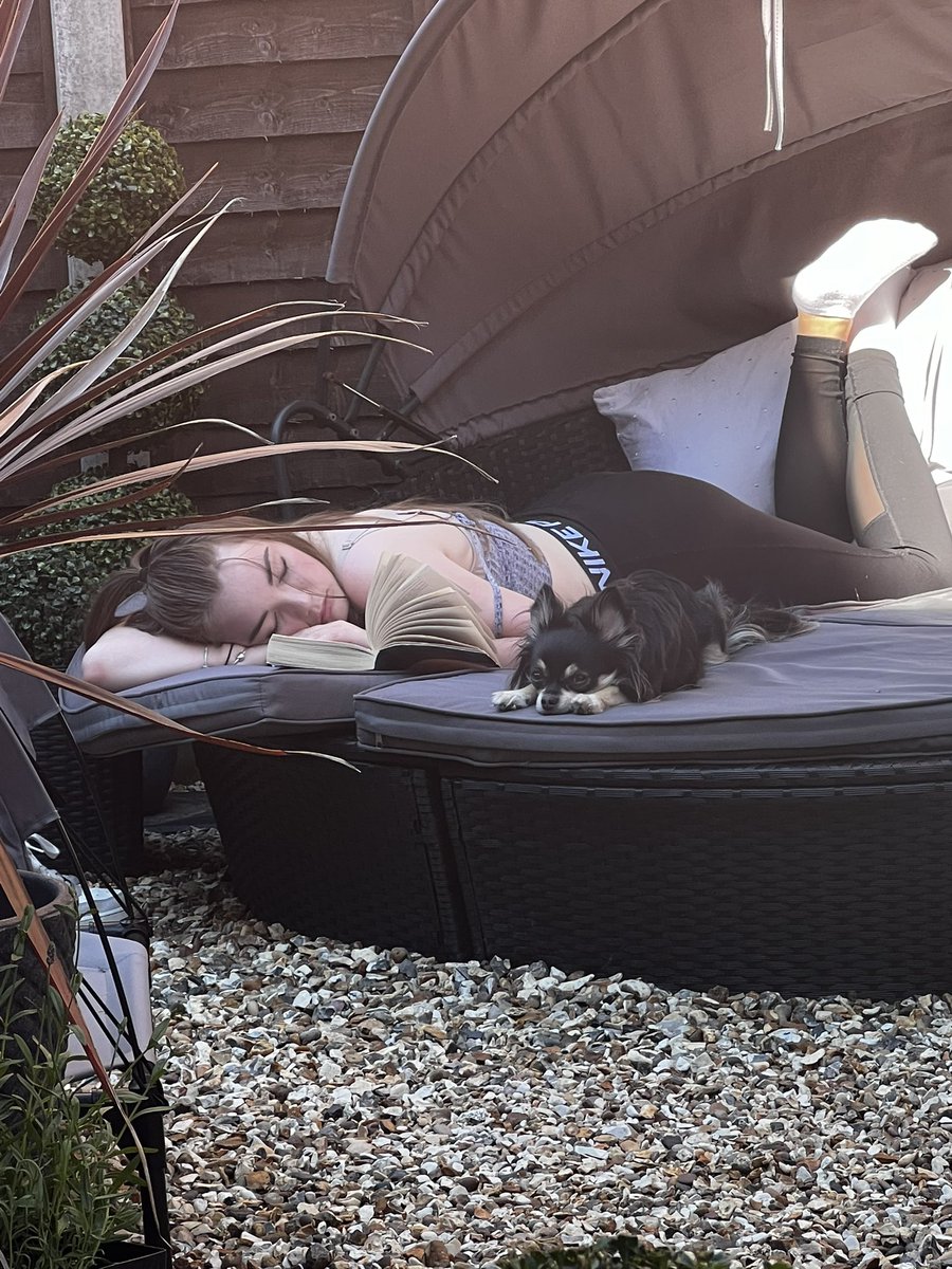 Jonty72FY1's tweet photo. Someone is flat out. Hard life. ๐ #lazydays #boringbook https://t.co/BaekJrCeHX