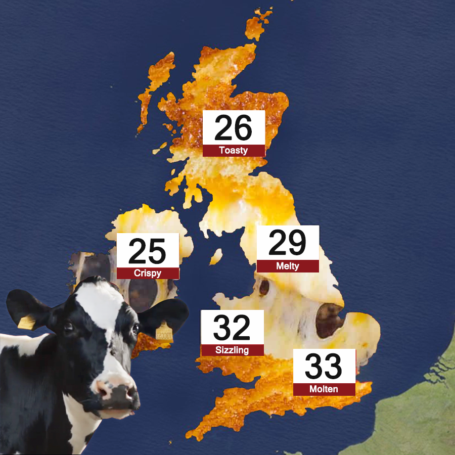 Here we go again. Today’s forecast… melting! #heatwave