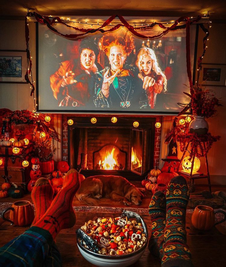 OctobersLeavess's tweet photo. Here’s your Halloween/Fall serotonin boost for the day. 🎃 https://t.co/EzpYYGbld5