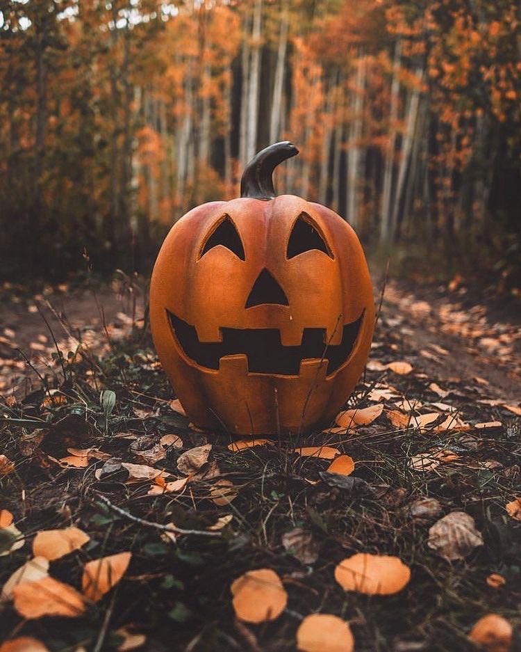 OctobersLeavess's tweet photo. Here’s your Halloween/Fall serotonin boost for the day. 🎃 https://t.co/EzpYYGbld5