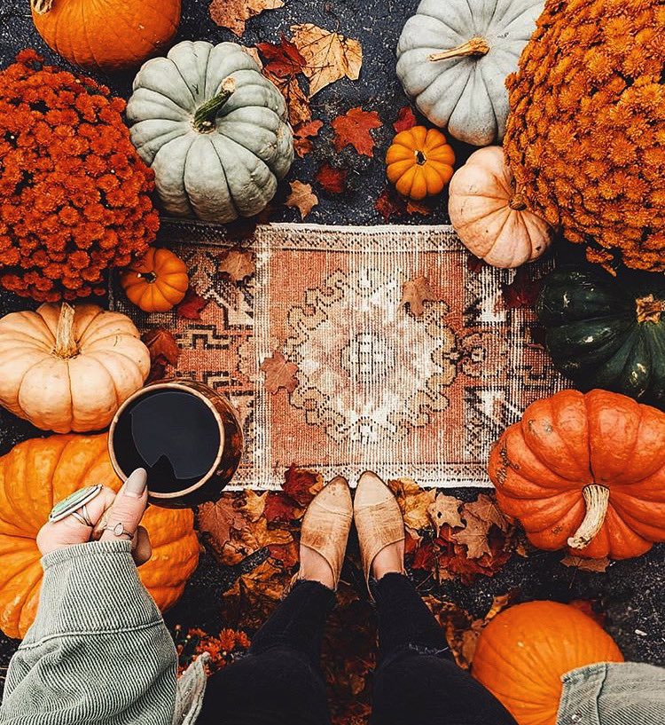 OctobersLeavess's tweet photo. Here’s your Halloween/Fall serotonin boost for the day. 🎃 https://t.co/EzpYYGbld5