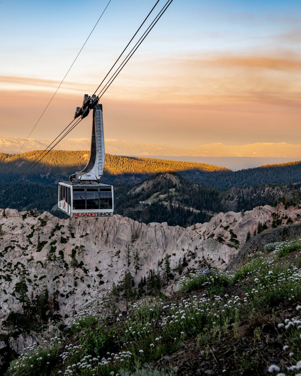 palisadestahoe tweet picture