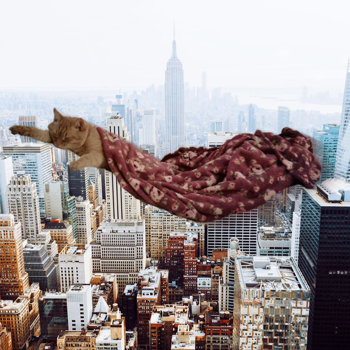 @velvetcanuck @claudrosewrites Super Sammy was spotted flying over New York!