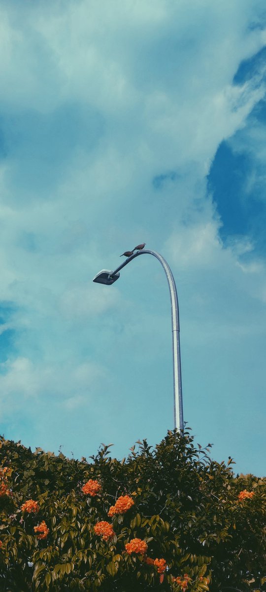 ipohboymedia's tweet photo. A wanderlust moment in Ipoh 

🌇🌇🌇🌇🌇

#photography #photo #vsco #Xiaomi #mobilephotography #mobilewallpaper #vibesxmood #photogallery #photographylovers #lift #iamablogger https://t.co/zkNUXRqJYO