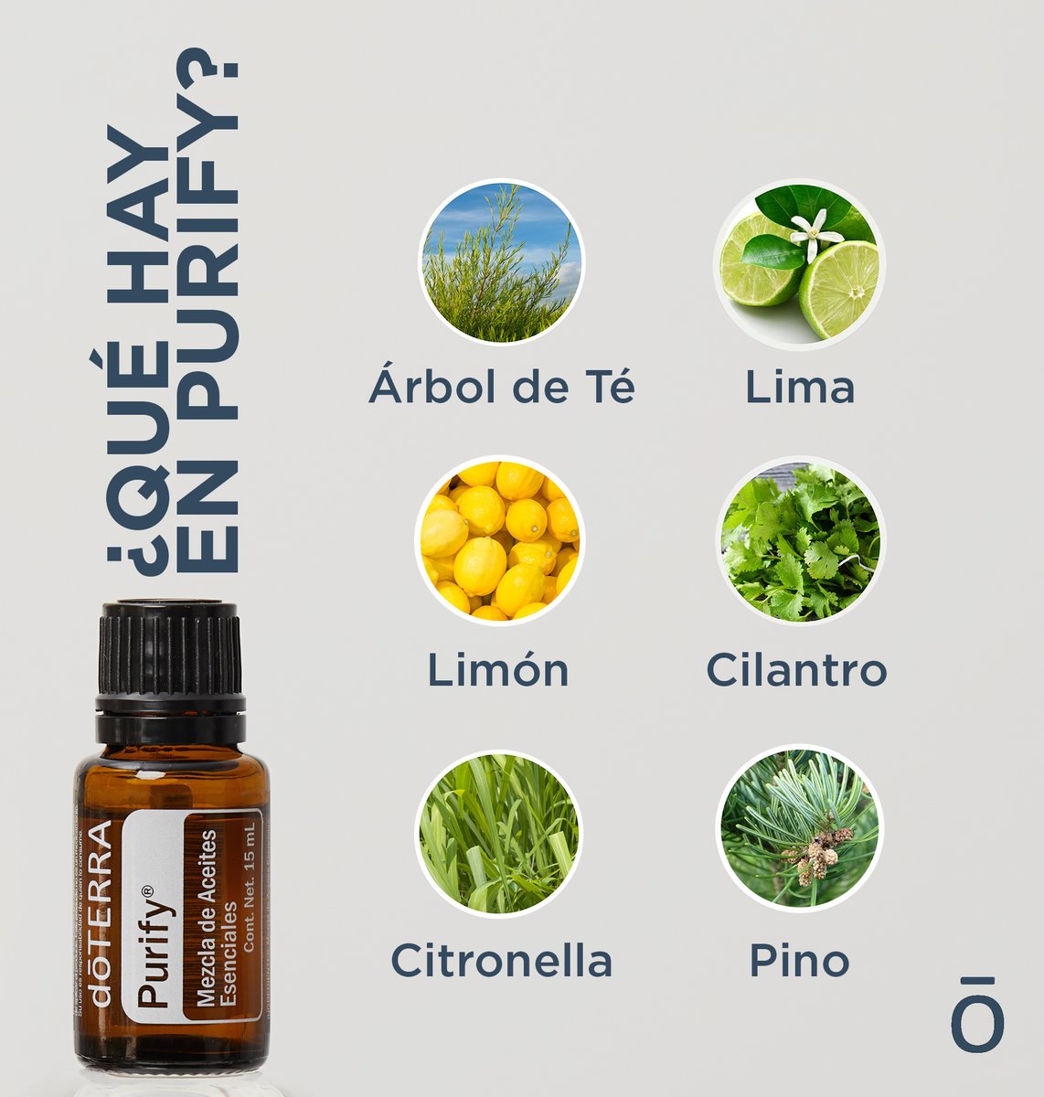 doTERRAMXof's tweet photo. ¿Qué hay en Purify? 🧐🤔

Recuerda: te quedan un par de días para pedir tu POM.

#doterra #aceitesesenciales #purify #bienestar https://t.co/uilhW5myCb