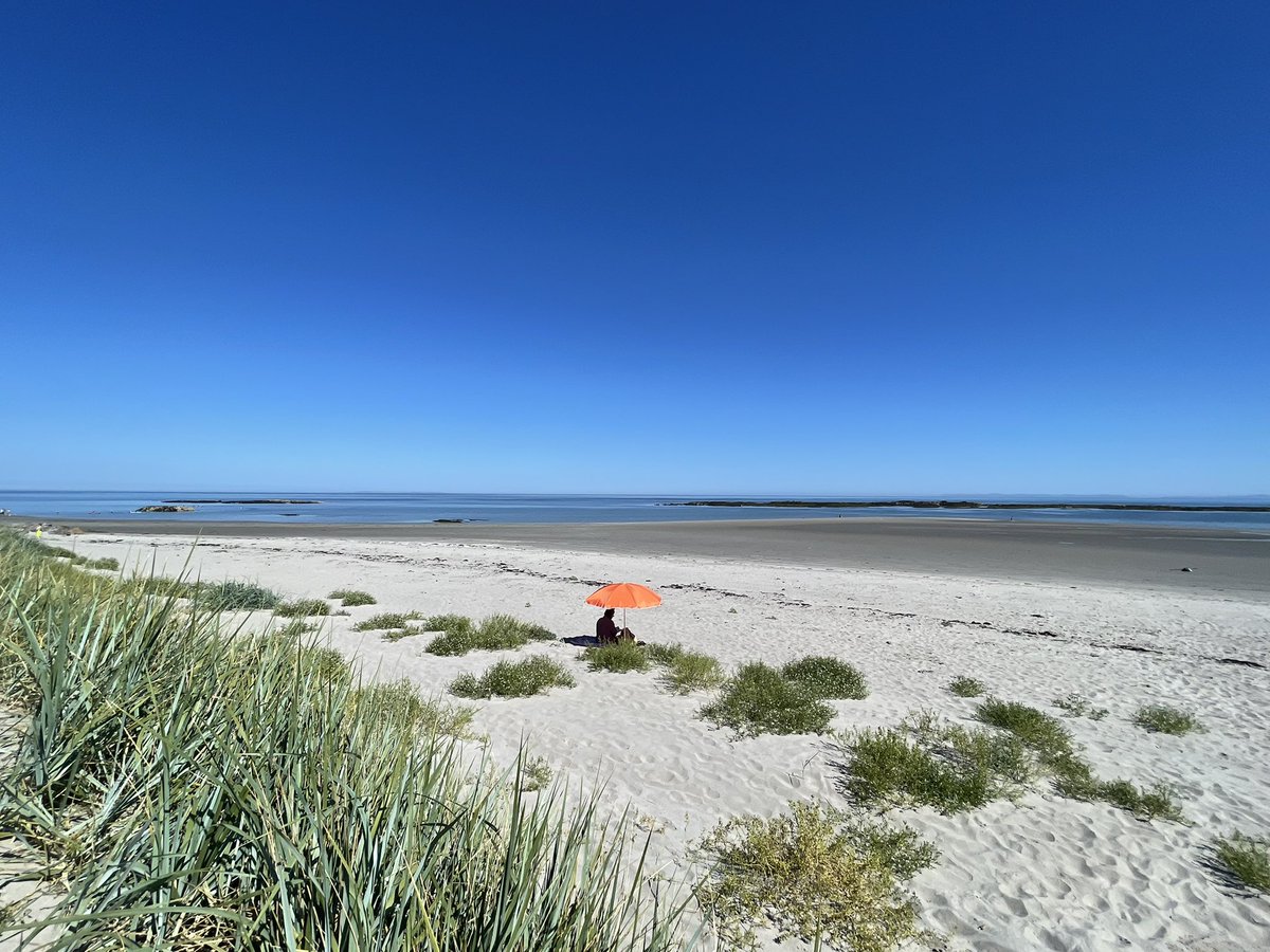 Costa del Portavogie basking in the sunshine today #Summer #heatwave #beachlife #lifesabeach  #CountyDown #Portavogie #seaside #seashore