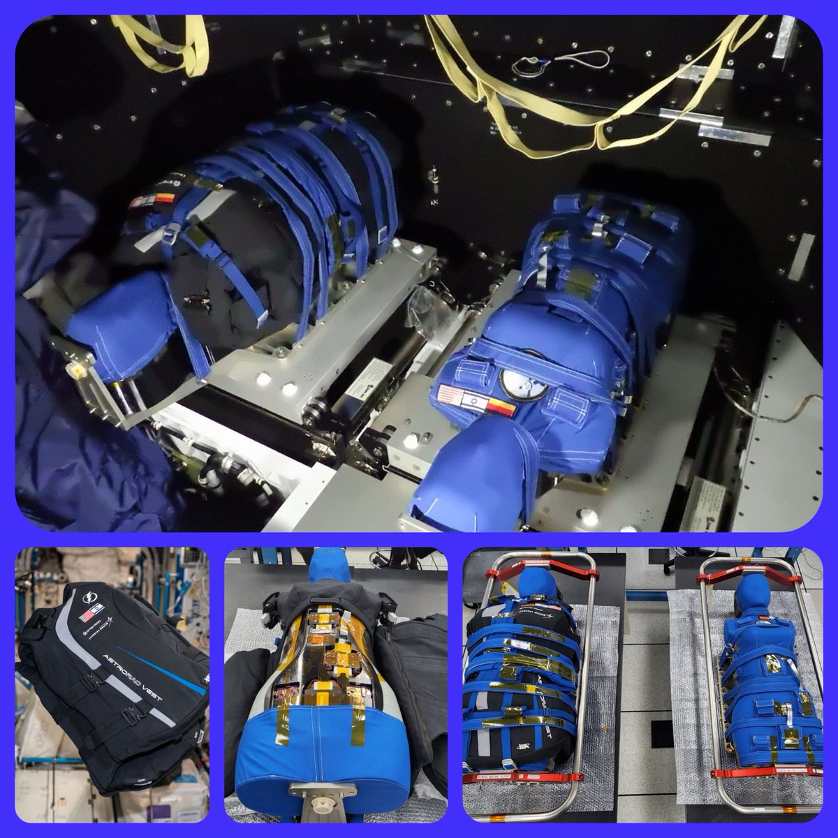 StationCDRKelly's tweet photo. Helga and Zohar, are loaded and ready to venture into deep space as part of the Orion Artemis I mission- they will be measuring radiation doses and testing a new protective countermeasure vest for future crewed missions - #AstroRad https://t.co/v1OHJgXavP