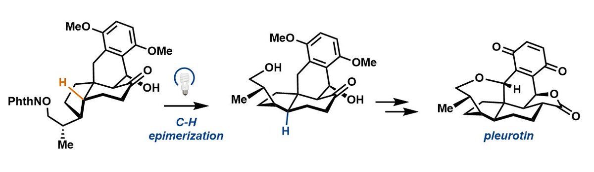 PrincetonChem's tweet photo. Congrats John Hoskin and Erik Sorensen of @sorensen_group for their #NSFfunded development of a concise synthesis of #pleurotin, published in @J_A_C_S. Read how their long-term investigation came to fruition: https://t.co/GUjwlwQkoG 

#phd #synthesis #epimerization #anticancer https://t.co/0eFrJ2WGF1