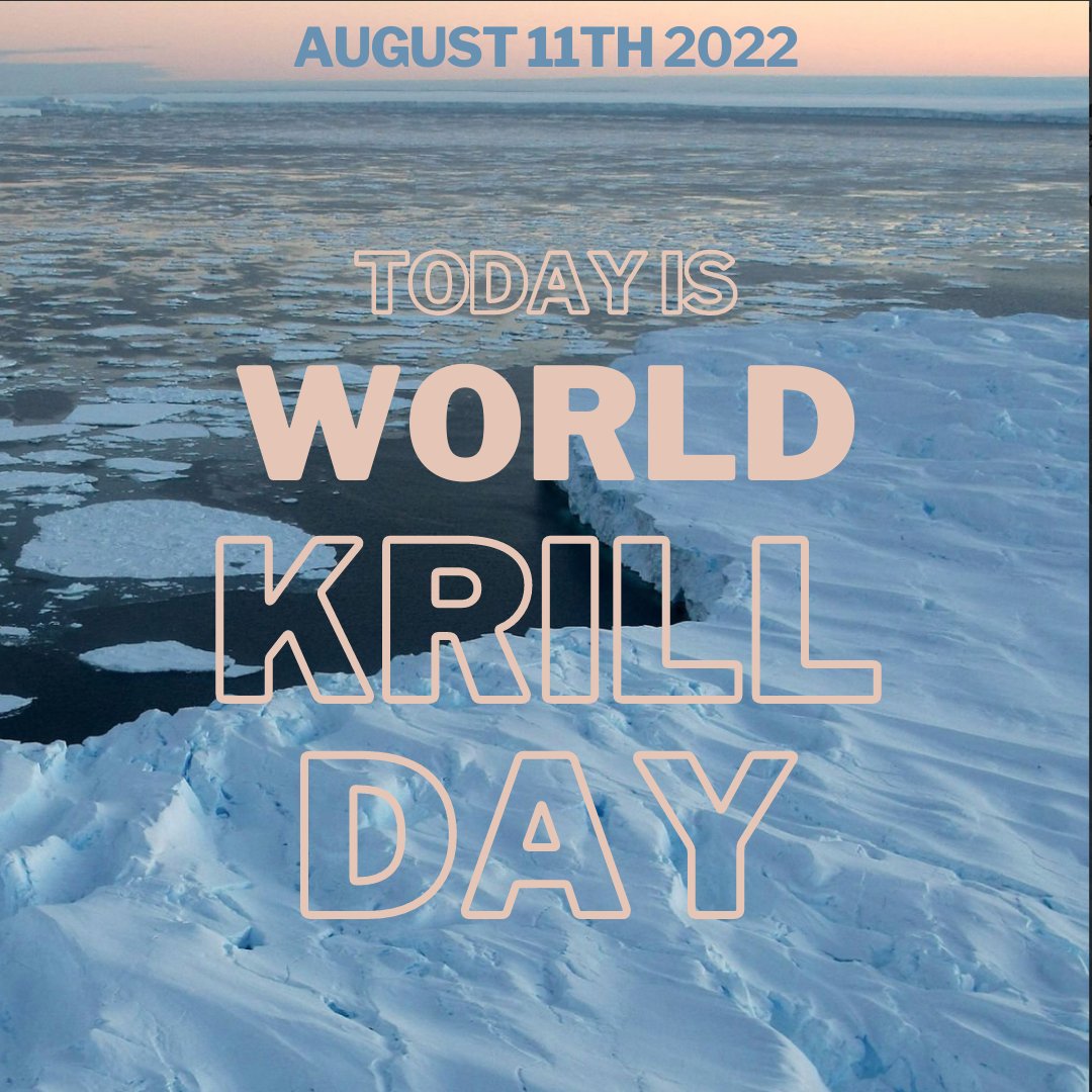 Happy #WorldKrillDay!