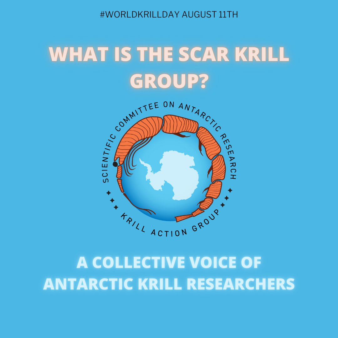 As part of #SKAG, I'm happy celebrating #WorldKrillDay since they are the preferred food of the fantastic #CrabeaterSeals @SCAR_Tweets #JoinTheSwarm #Krillebration