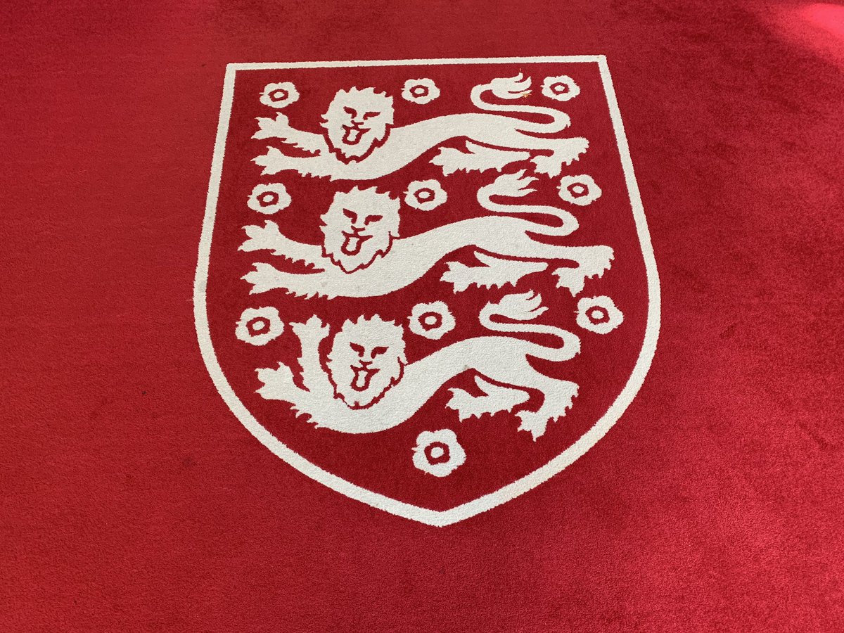 Sandra Collins tweet media