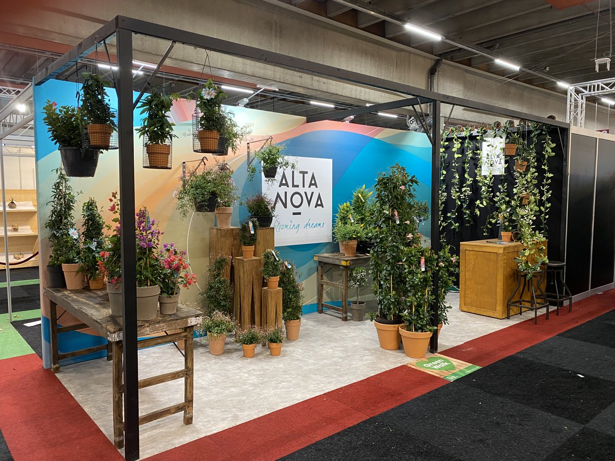 Pullposition's tweet image. We zijn weer begonnen met de voorbereidingen voor de Royal FloraHolland Trade Fair! 😍

Op de foto's zie je de stands van AltaNova en Amazone Plants in 2020. Ben je al nieuwsgierig wat we voor dit jaar hebben bedacht? 😏

#marketing #RFHTF2022 #beursstand #sierteelt #B2B