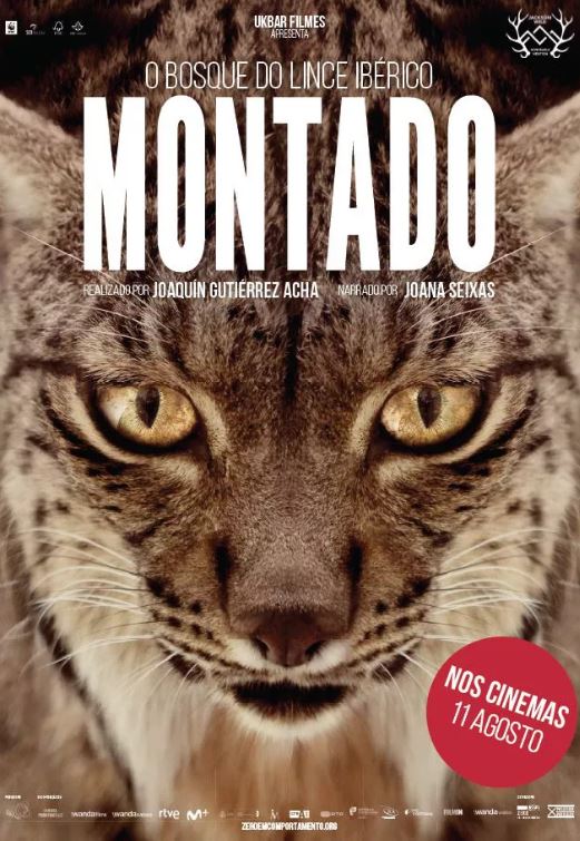 lifemontado's tweet photo. É hoje que chega às salas de cinema “Montado, o bosque do lince-ibérico”. Um filme de Joaquín Gutíerrez Acha e o documentário com maior orçamento, até à data, em Portugal.
#montado #dehesa #obosquedolinceiberico #ukbarfilmes #zeroemcomportamento #montadoofilme https://t.co/BxRRUXXNBq