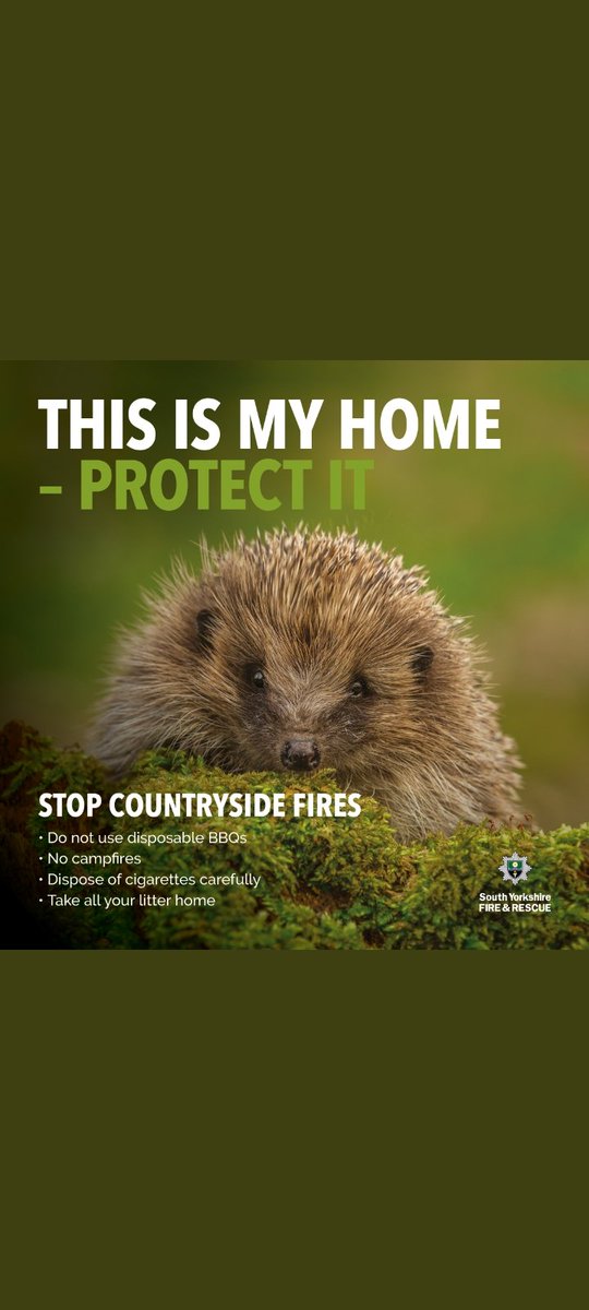 UlleyRanger's tweet image. Please Please Please consider wildlife before acting like a chump in the countryside. The selfish actions of a few can be devastating.