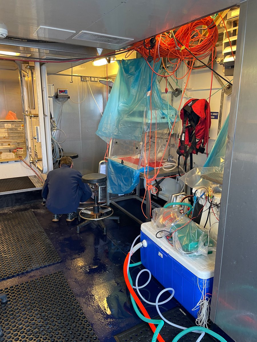 Our sensor tech (otherwise known as the head of marine chemistry <a href="/GEOMAR_de/">GEOMAR</a> 😉) is particularly excited to be out of the office and on an #oceanography survey of Disko Bay #Greenland