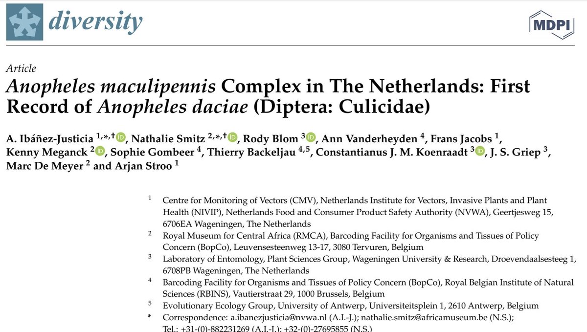 📢Two articles published in one week! We present the distribution of 🦟 Anopheles maculipennis s.l. members in the Netherlands and the first report of Anopheles daciae using ITS2 sequencing. mdpi.com/1424-2818/14/8…
#MDPI #NIVIP #NVWA #BopCo #WUR
<a href="/BlomRody/">Rody Blom</a> <a href="/BugproofBugprof/">Sander Koenraadt</a>