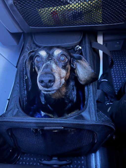 We&rsquo;re headed back to Los Angeles ✈️ https://t.co/FP4tK4Ubjw<a href="/tag/legday"class="tags"><span>#legday</span></a>