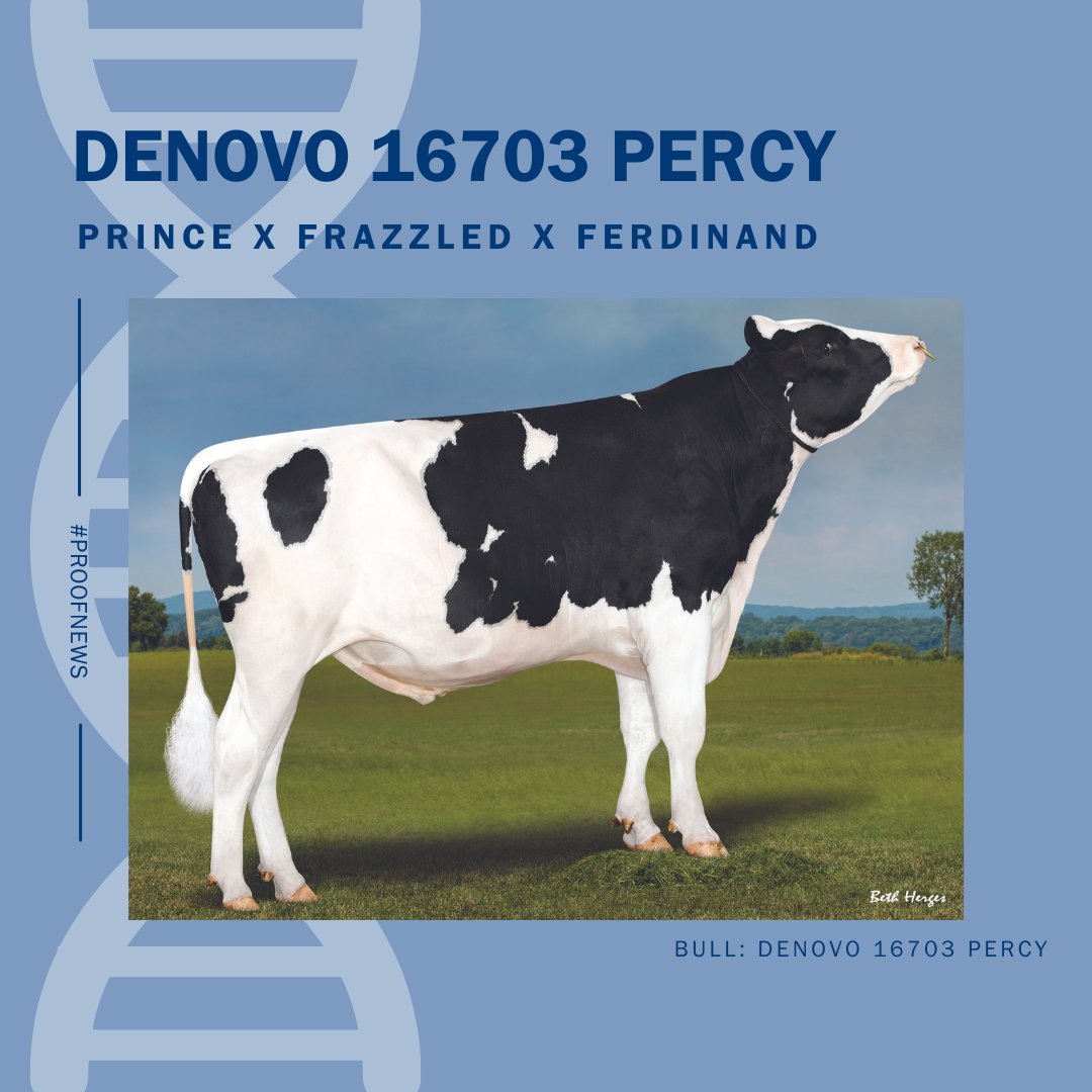GenusABS's tweet photo. ⭐ New Sexcel® release… ⭐
Denovo 16703 PERCY
Prince x Frazzled x Ferdinand
🧬 £754 £PLI
🧀+49.3 KG Fat (+0.33%), +28.2 KG Protein (+0.14%)
🐄+1.88 Type Merit
✨+1.89 Mammary
https://t.co/zZPnmI0us2
#ProfitFromGeneticProgress #ProofNews #Sexcel #powerdbyahdbdata https://t.co/DnM8pPWrpQ