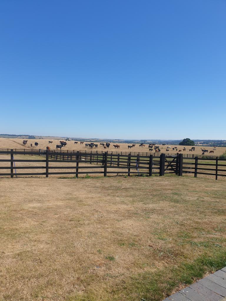 Some view at work this morning <a href="/ShireElectrical/">Shire Electrical Ltd</a>