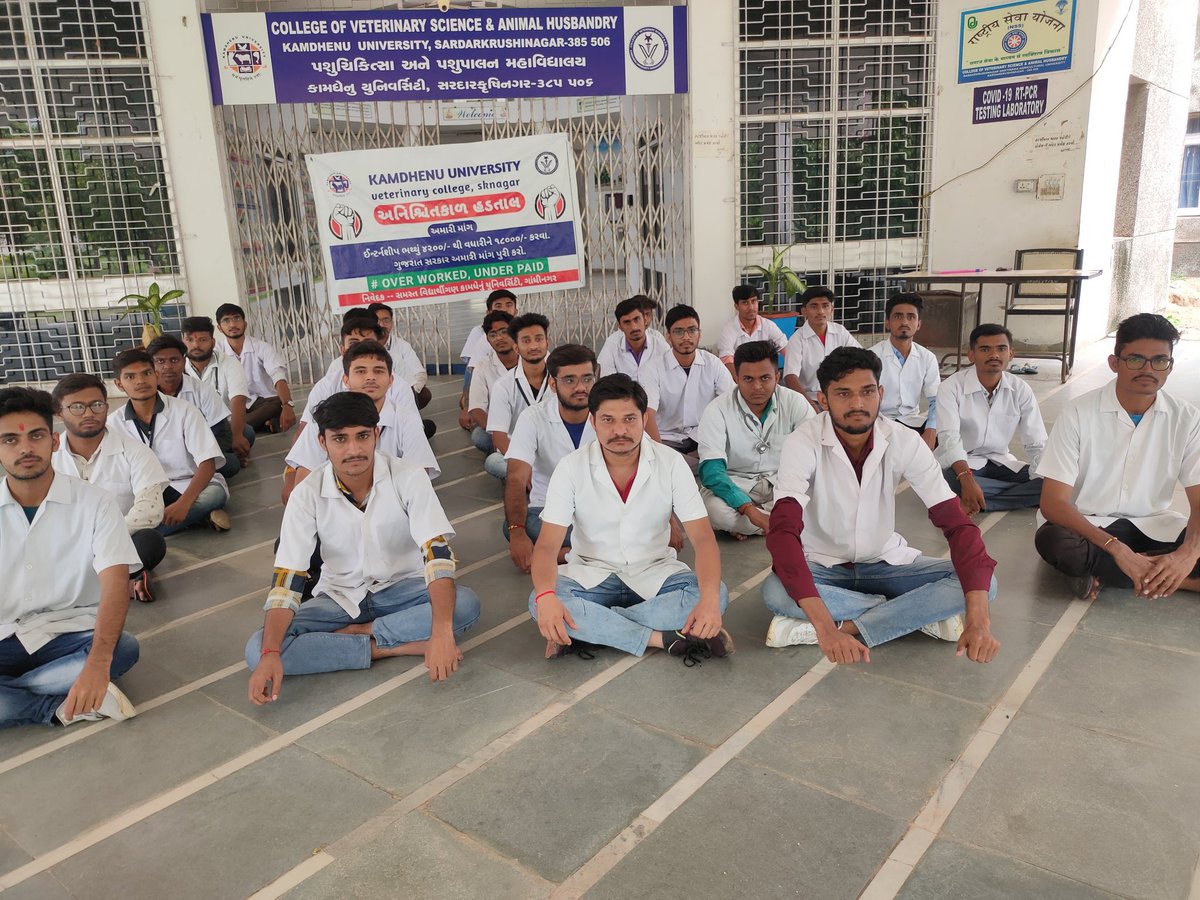SureshC05193157's tweet photo. દાંતીવાળા વેટેરનરી કોલેજના  બધા વિધાર્થીઓ તથા દાંતીવાડા ઇન્ટર્નના વિધાર્થીઓ ઇન્ટર્નશીપ ભથ્થાને ૪૨૦૦ થી ૧૮૦૦૦ કરાવવાના વિરોધમાં રક્ષા બંધન ના દિવસે પણ હળતાલ યથાવત્. #Day10 
#Increase_Guj_Vet_Stipend
#Guj_veterinary_students_on_strike
@CMOGuj @Bhupendrapbjp 
 @RaghavjiPatel https://t.co/k2eTKvJG70