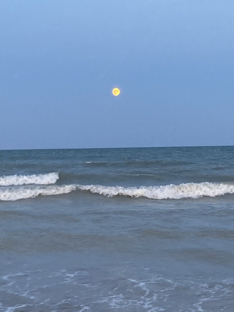 AlmarnaTiaam's tweet image. The sea is so calming. I have some too atm.