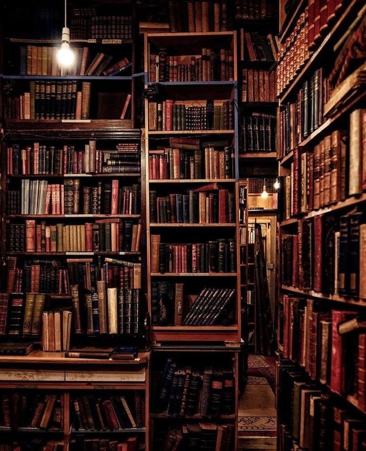 Kutuphanembenim's tweet photo. 🤎📚 https://t.co/V8EffNyUjC