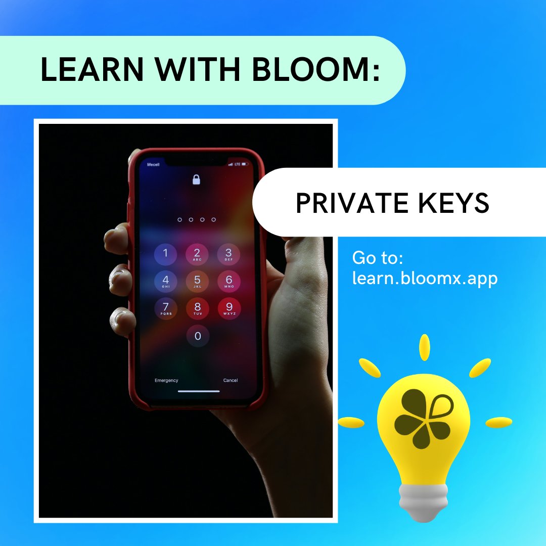 BloomX tweet media