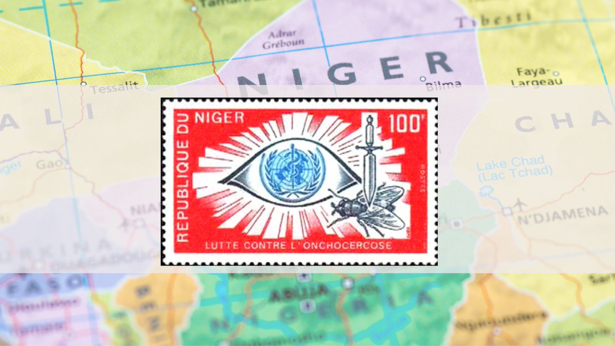 MDP 2021 AnnualHighlights 🔦 In 2021 🇳🇪 Niger began working on its dossier for verification of elimination of river blindness transmission, and may soon become the first country in Africa 🌍 to be verified by @WHO. Learn about the verification process ⤵️  mectizan.org/news_resources…