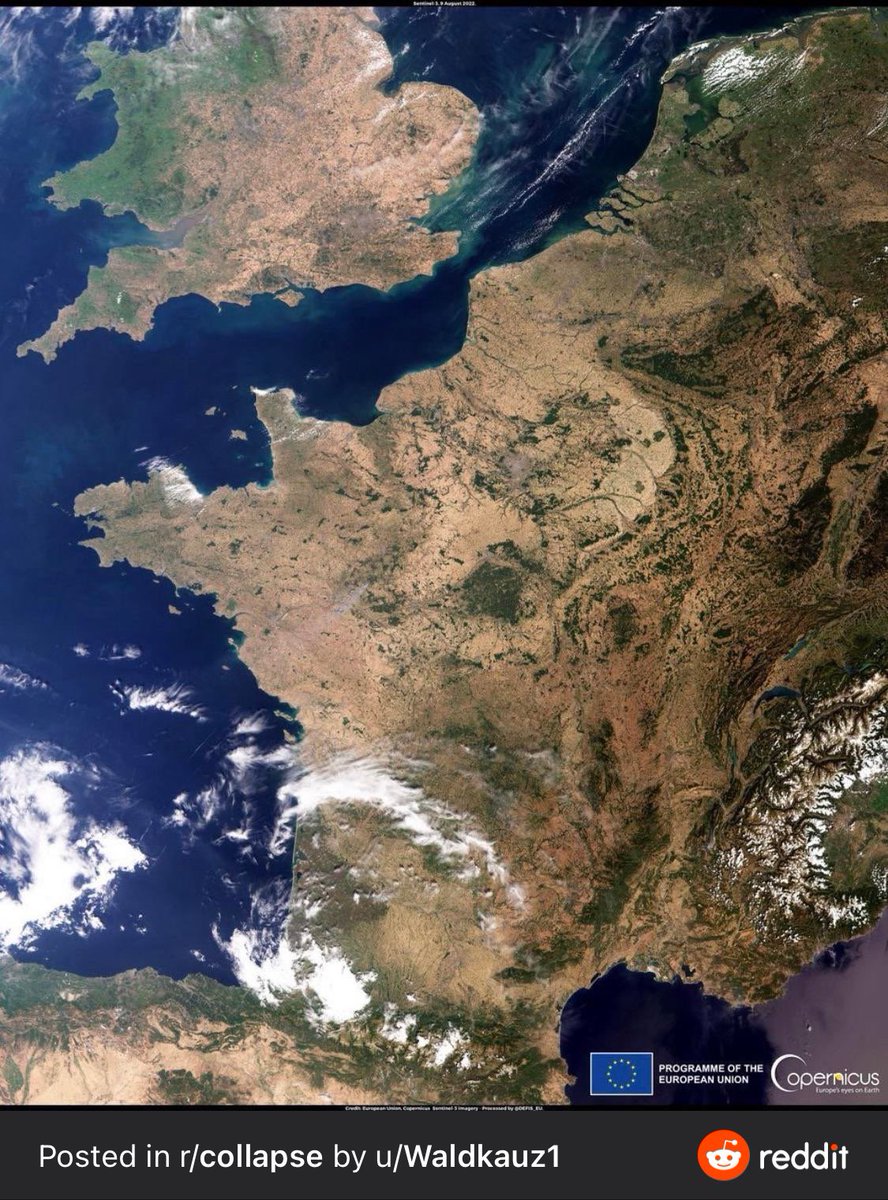 Nicolas Carteron 🐧 tweet media