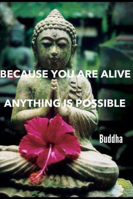 GodBrahman's tweet photo. https://t.co/pfQDEh6lyM