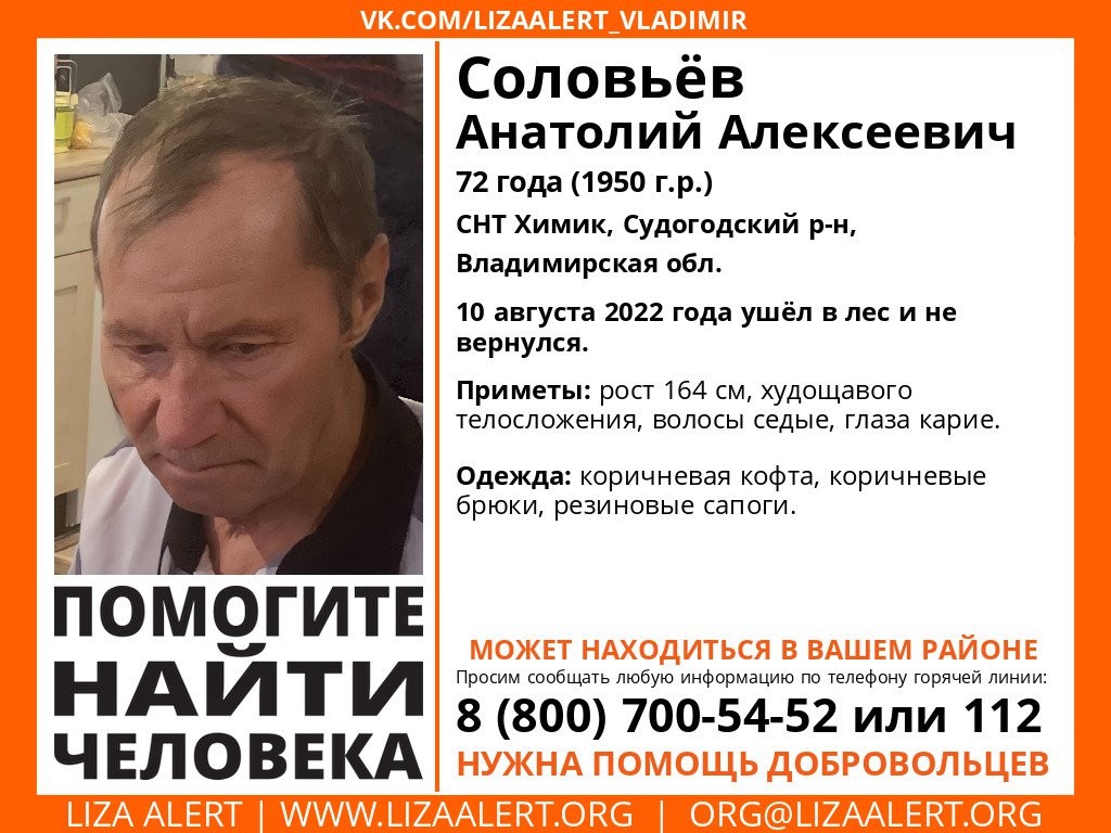 LizaAlert_Vladimir tweet media