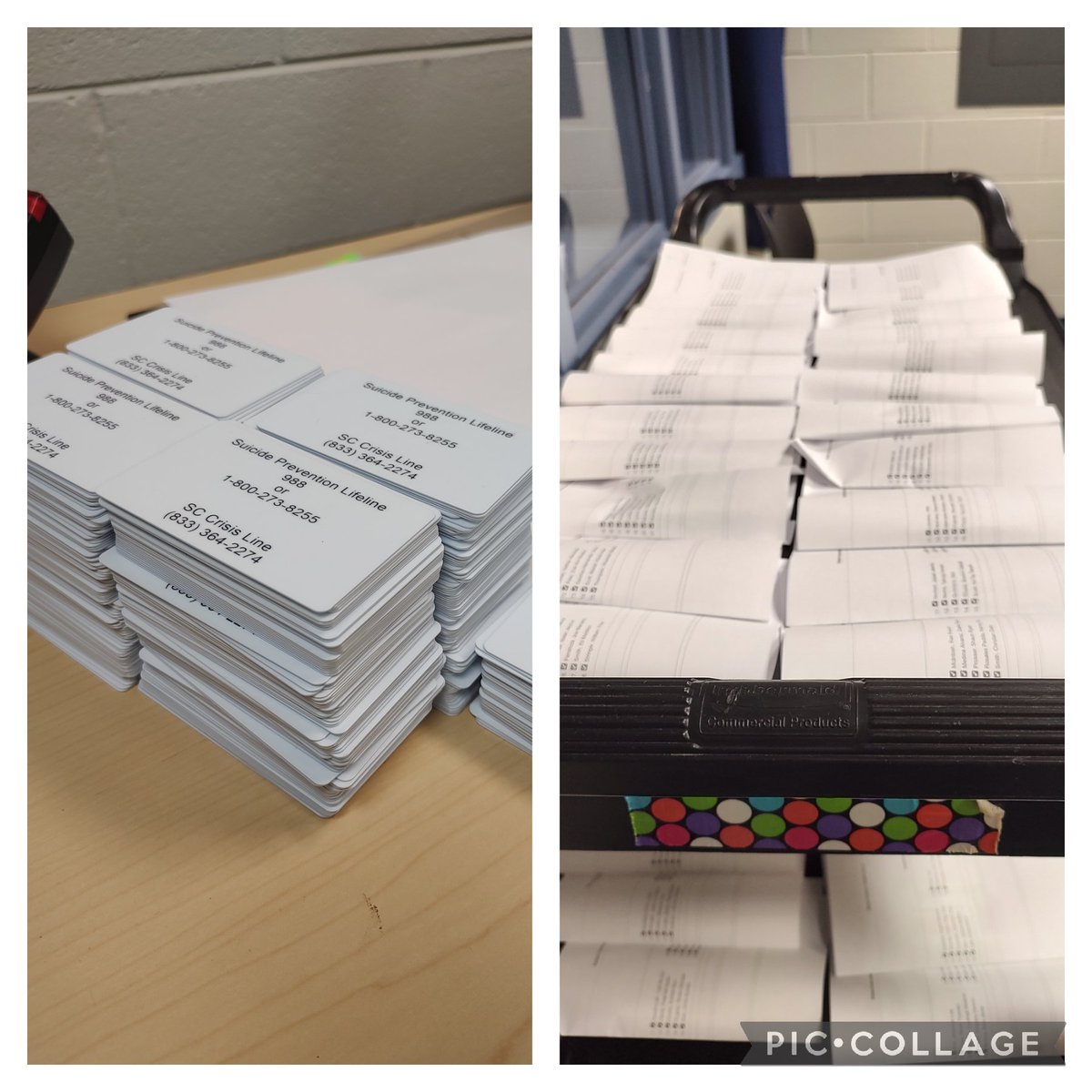 About halfway finished printing individual student IDs...
#librarians #MiddleSchoolLibrary #SafetyFirst