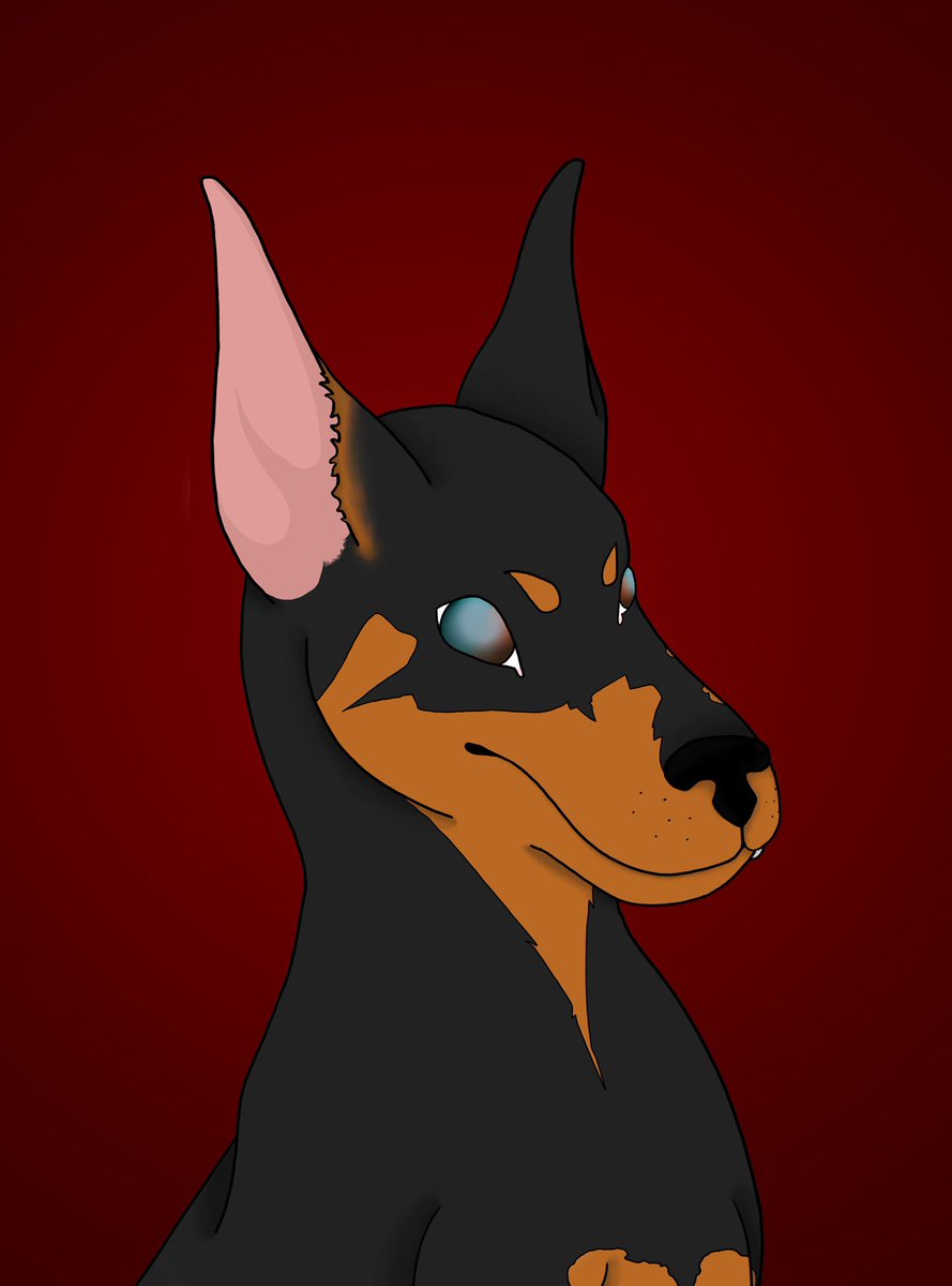 Doberman Academy tweet media