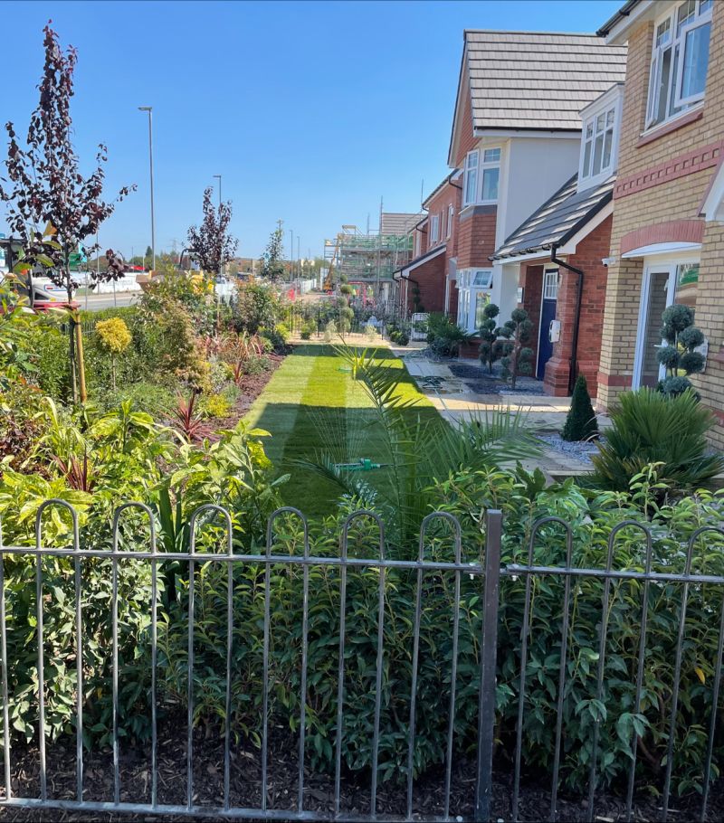 Building Product Solutions tweet media