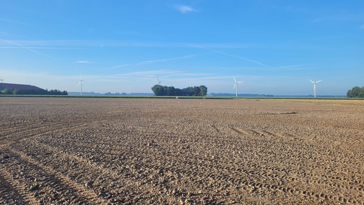 Mooi weer, mooi werk #vollebak #fendt #kilveren #tenhovekamperveen