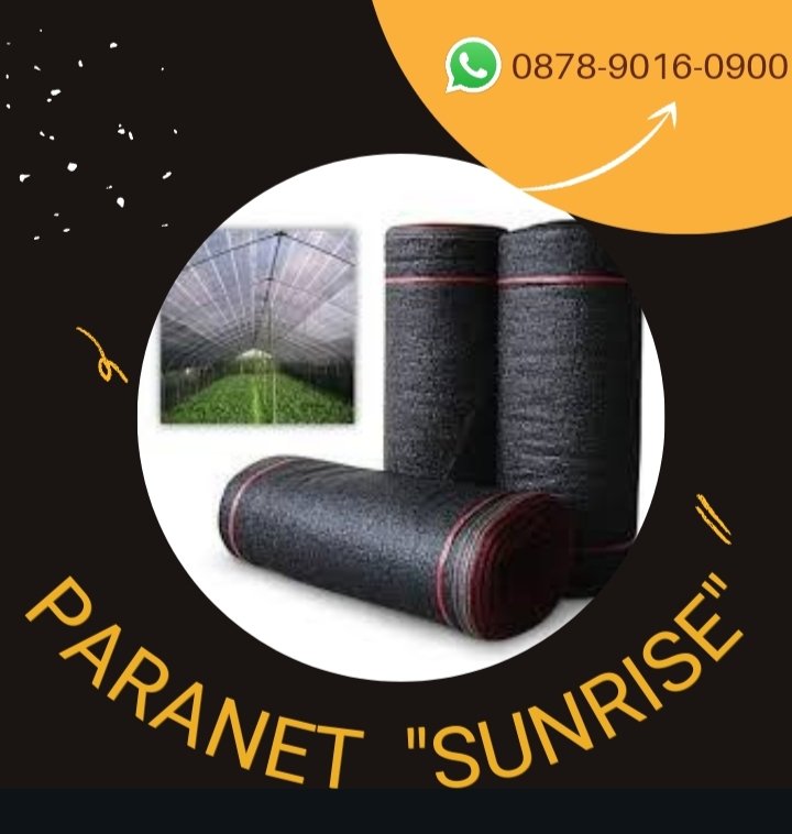 juallpaaraneet's tweet image. Kualitas terjamin, WA+6287890160900, Jual Paranet dan plastik UV Surabaya
paranet design,Paranet dan plastik uv,Daya tahan paranet,Design paranet,Dinding paranet

#paranetdesign,#Paranetdanplastikuv,#Dayatahanparanet,#Designparanet,#Dindingparanet