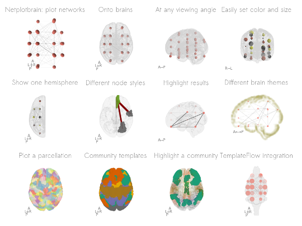 Silvia Fanton tweet media