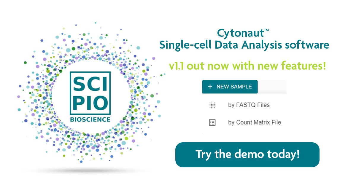 📢 Cytonaut v1.1 is out! 🖥️📊 
In our continuous quest to make single-cell data analysis simpler for every biologist and bioinformatician, this new release features ever greater flexibility for your data input. 
Give Cytonaut a try for free at cytonaut-scipio.bio! #singlecell