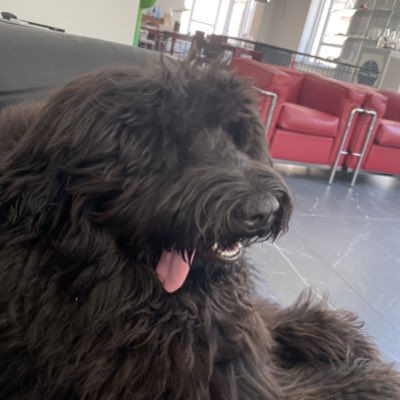 Nutellawoof's tweet photo. #NewProfilePic https://t.co/9EaCdLtJki