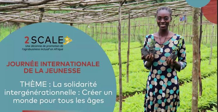 IFDC COTE D'IVOIRE tweet media