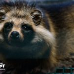 Photo by World Animal Protection NL (@wap_nl)