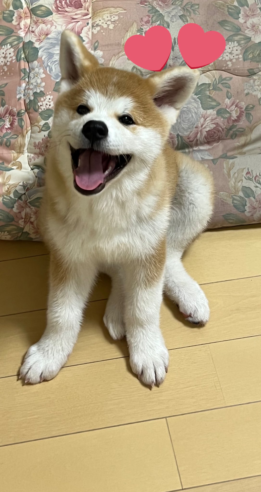 Jo Liberty River Twitter