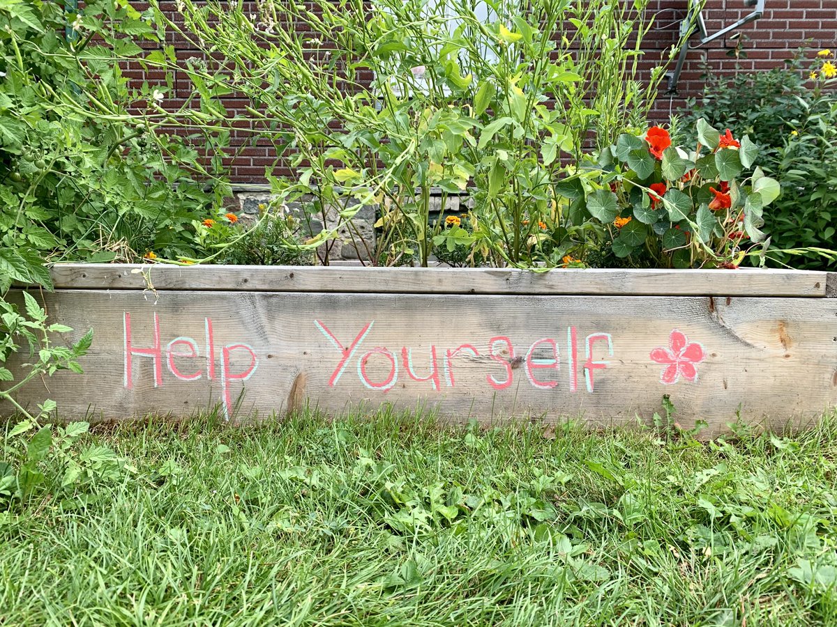 hillapaints's tweet photo. I placed a garden bed on the outside lawn of my house so children and passers by could enjoy some cherry tomatoes. I would like to grow this concept of feeding ourselves. #SaveYourSeeds https://t.co/VmIujUUMhV