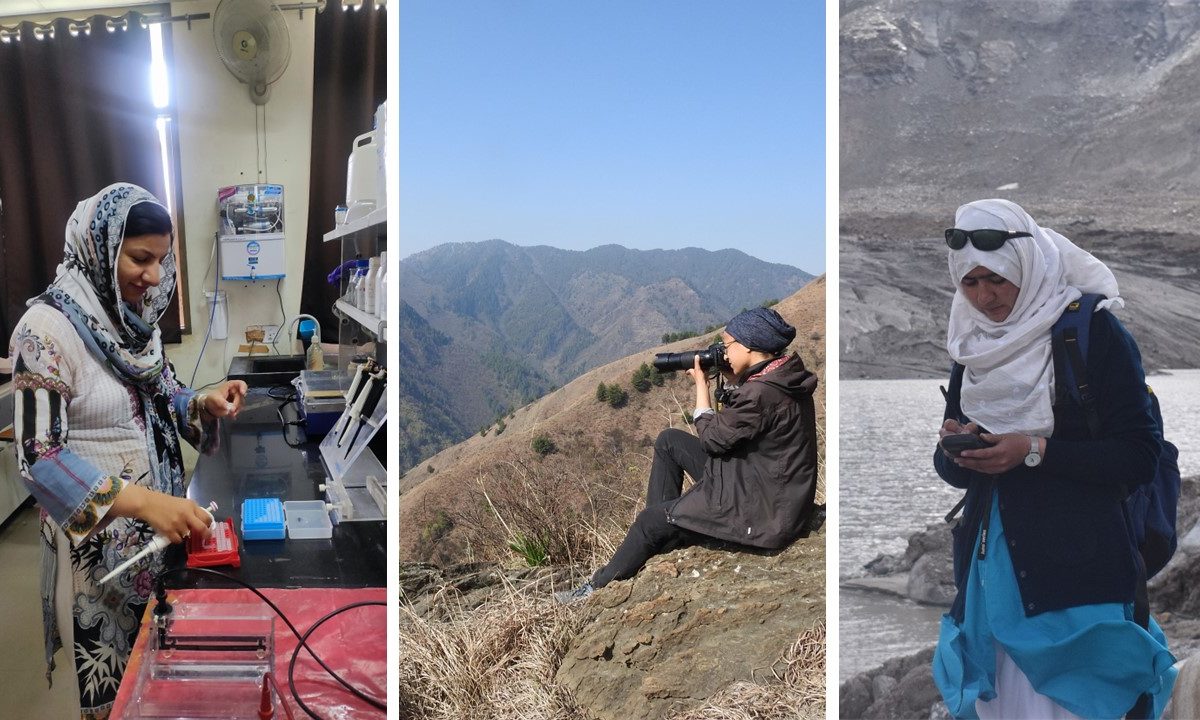 Mongabay India (@mongabayindia) on Twitter photo Climate change is altering Kashmir’s environment which impacts the region’s biodiversity, agriculture produce and the glaciers. A trio of women scientists are at the forefront, researching to understand these changes and find solutions. <a href="/AzmatHirra/">Hirra Azmat</a> spoke with these scientists. 🧵 Climate change is altering Kashmir’s environment which impacts the region’s biodiversity, agriculture produce and the glaciers. A trio of women scientists are at the forefront, researching to understand these changes and find solutions. <a href="/AzmatHirra/">Hirra Azmat</a> spoke with these scientists. 🧵