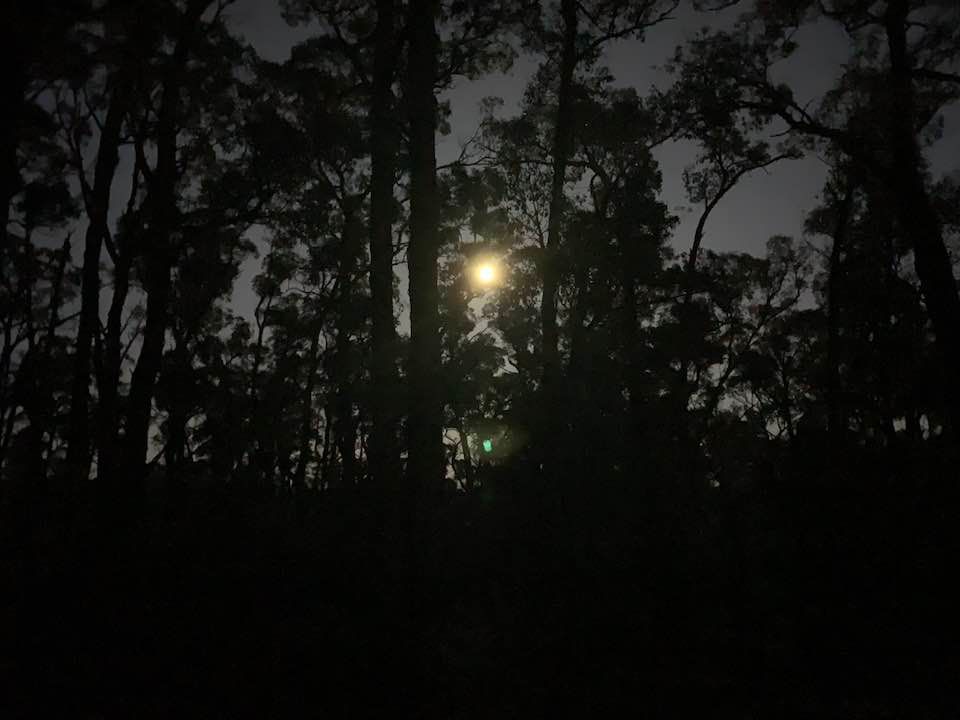 Darren Arnott tweet media