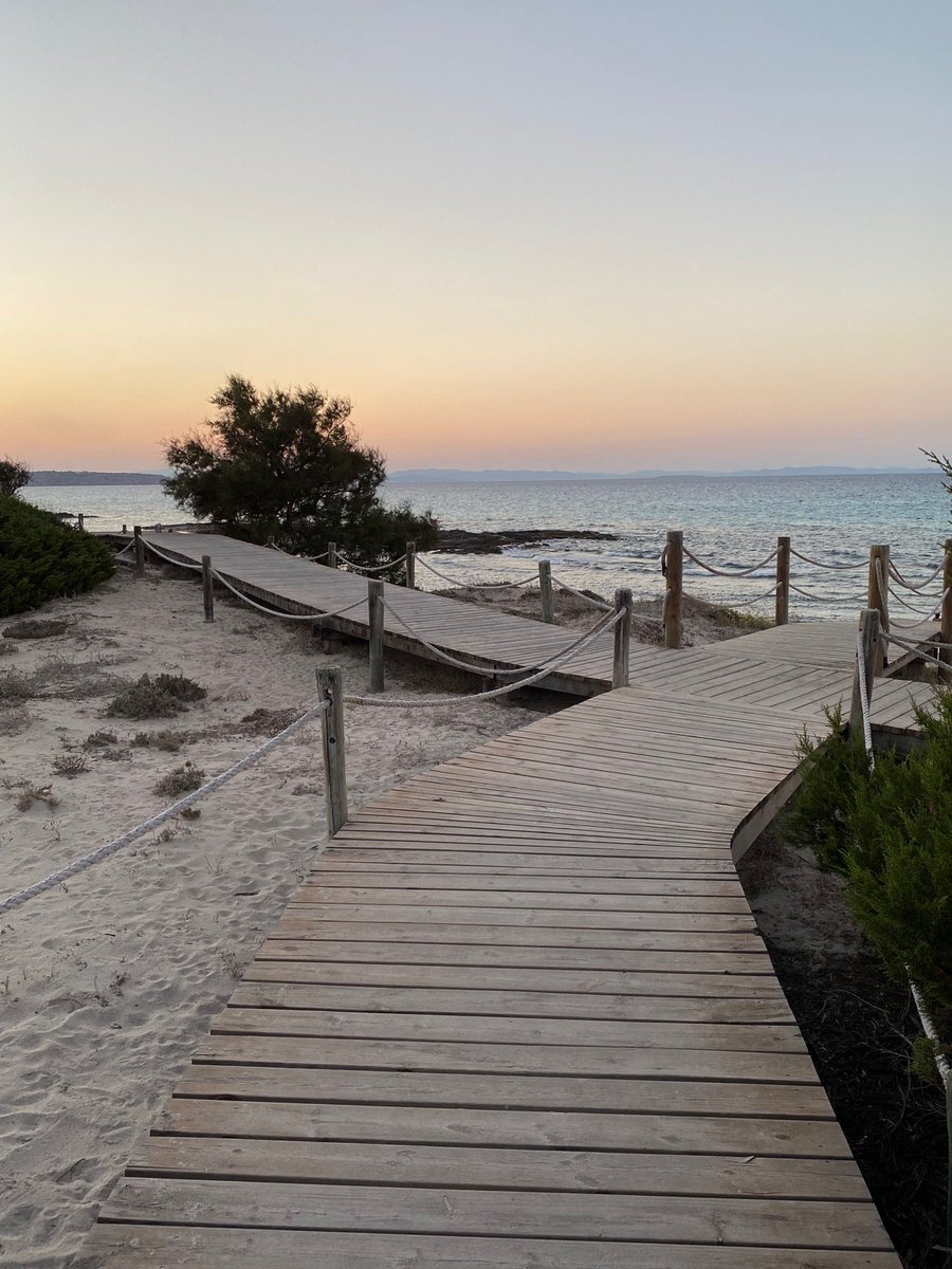 Thierry Batut tweet media