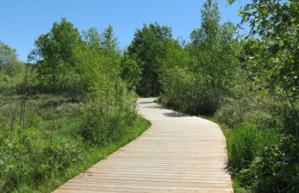 Beautiful commute to work. New Sudbury to Downtown in 10 minutes by bike.  I think it's cool that there are over 3,600 kms of roads in Greater Sudbury.  With the Barrydowne expansion at Kingsway complete, a car trip is fast, but I still prefer our over 200kms of nature trails!