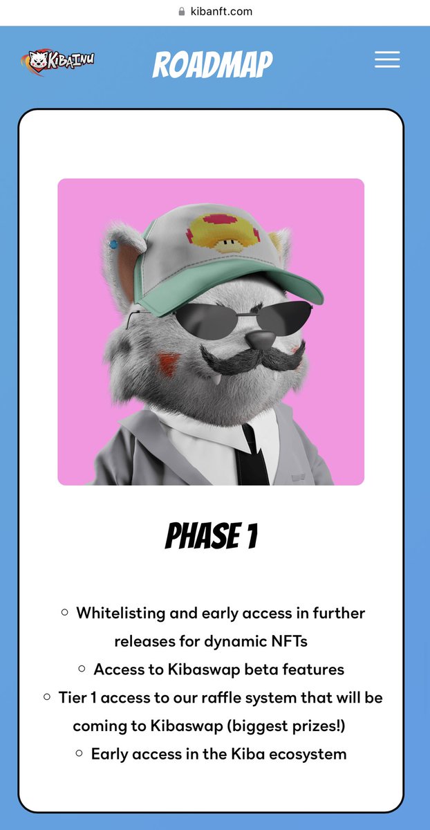 Drew_Dufresne's tweet photo. I’d like some of that access. I’d also like that particular NFT. #kiba #memecoin #eth #nft https://t.co/yA7ew74b44
